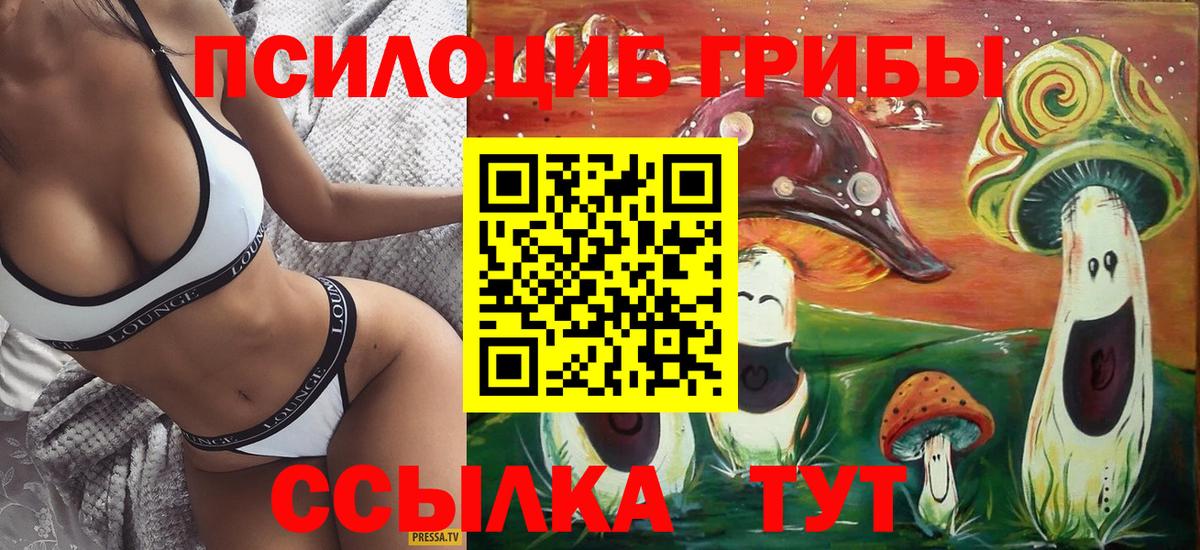 Галлюциногенные грибы прущие грибы Тобольск